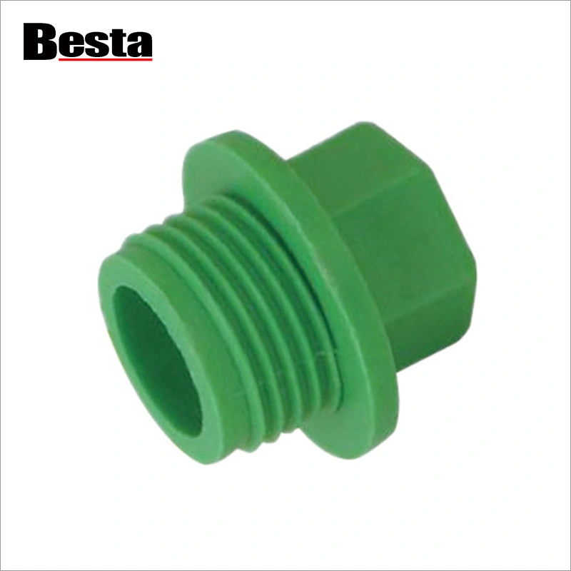 PPR Plastic Fitting Thread Plug